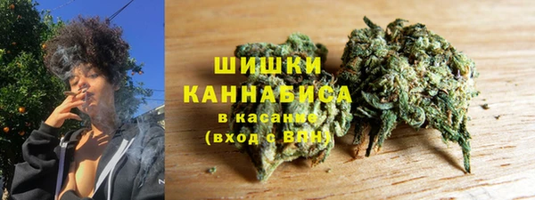 мдпв Мегион