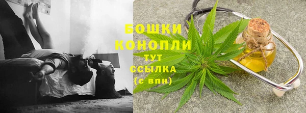 мдпв Мегион